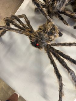 Halloween spiders and webs 5 spider $25