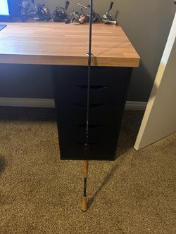 Carbon Magic L Spinning Rod