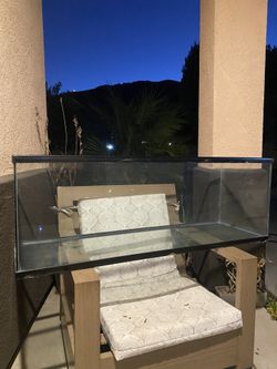 50 Gallon Glass Tank
