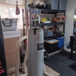 Heavy Bag Stand