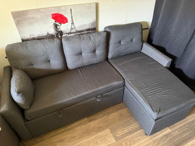 Pullout Sectional Sofa With Storage