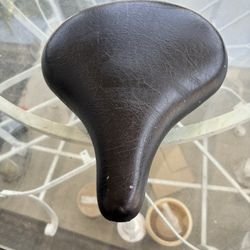 Near New Beach Cruiser Seat !