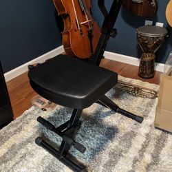 Musicians Chair