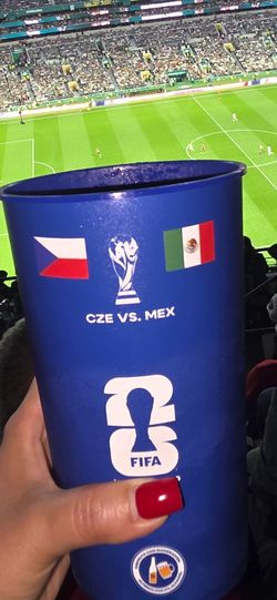 Fifa word cup Mex vs Cze cup