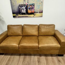 Beautiful Brown Couch
