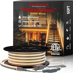 50 Ft Shine Decor LED Neon Rope Lights AC 120V, ETL-Listed Flexible 120LEDs/M Dotless Strip Lighting, Custom Cuttable & IP65 Waterproof for Indoor Out