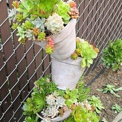 Large Succulent Tilted Pots