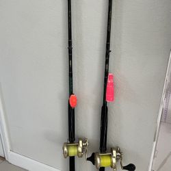 2 Shimano Trinida 30 With Custom fishing Rod for Sale in Miami, FL - OfferUp