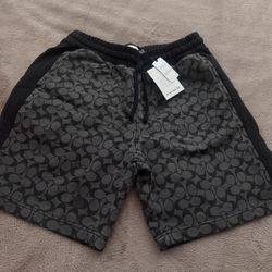 coach shorts 