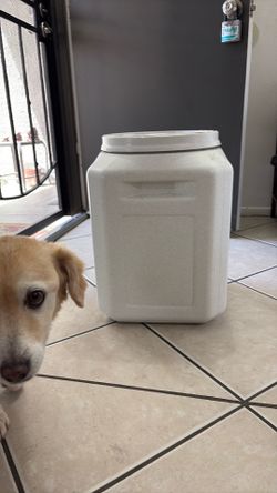 Air tight food container