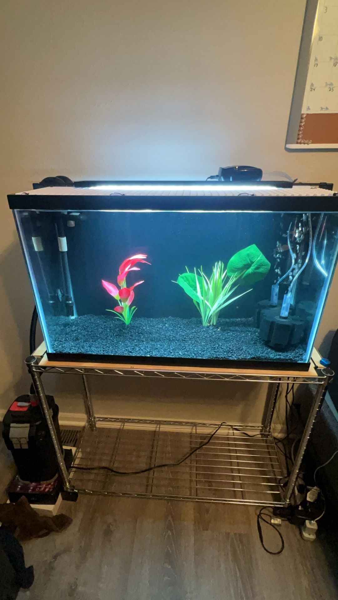 29 Gallon Complete Aquarium