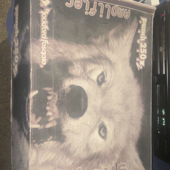 Rockford Fosgate Power House