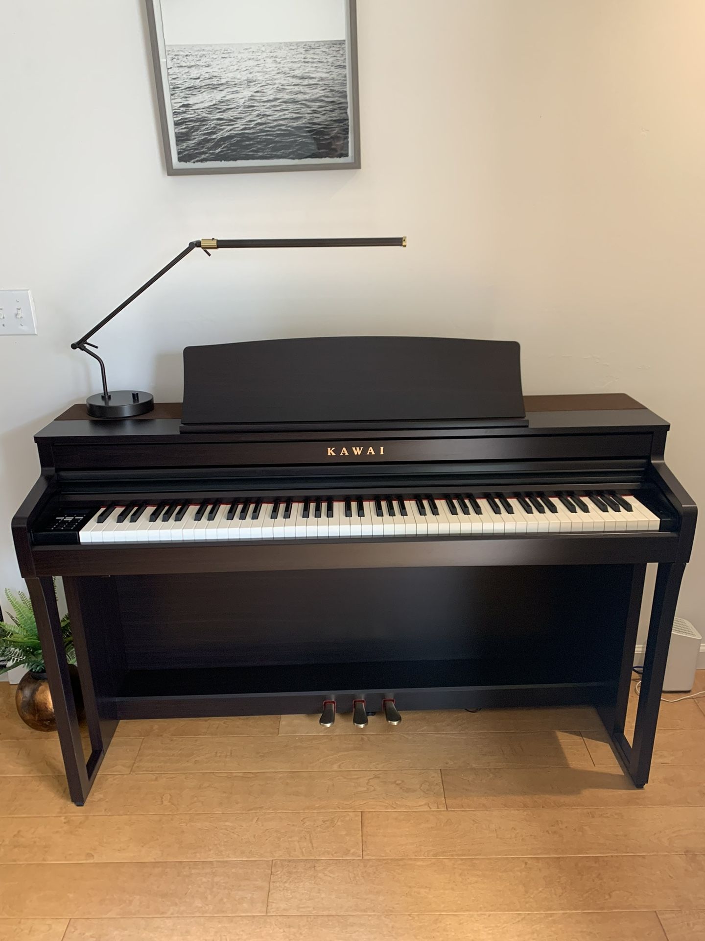 Kawai Digital Piano