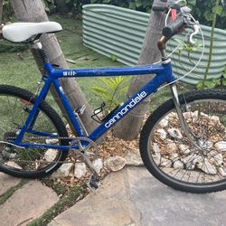 Cannondale SM 400 Mountain Bike