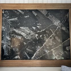 Framed Orthoceras Slab