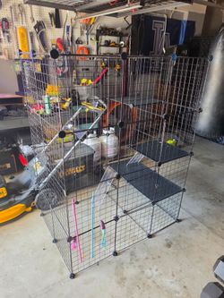 Catio