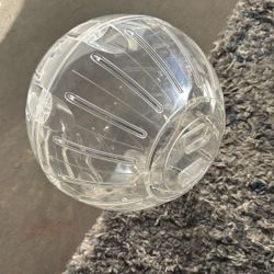Small Pet Ball