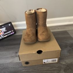 Chestnut Uggs