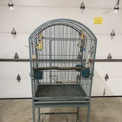 California Bird Cage With Spars And Food And Water Dishes.  Asking $250.00