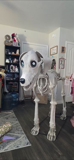 Skeleton dog