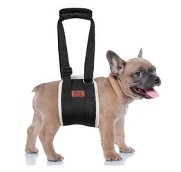 Dog Lift Harness, Dog Sling for Small Dogs Lift Support and Rehab Harness for Weak Rear Legs, Soft Hind Leg Support Helps Senior, Injured, Disabled an