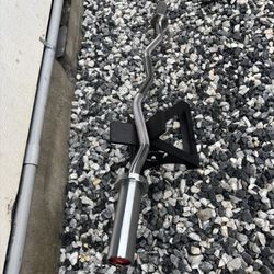 Curl Barbell 