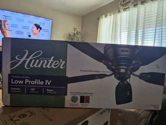 Ceiling Fan Hunter