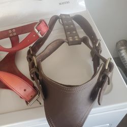 Bulldog Harnesses HEAVY leather.....small.....large.....and Extra  Large $40 OBO These Are $100 + Each Retail....40 Obo Ea