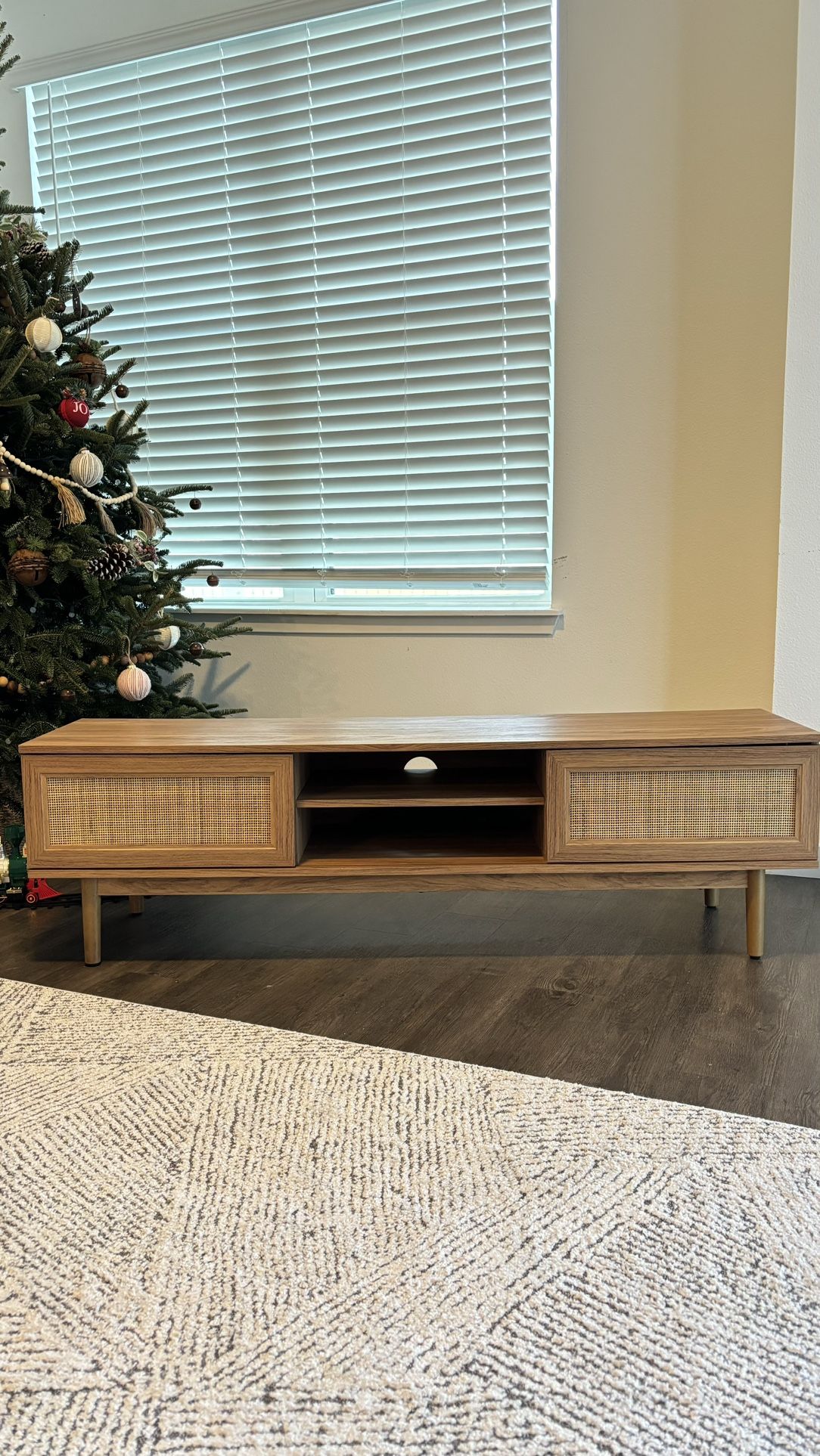 TV Stand with Storage