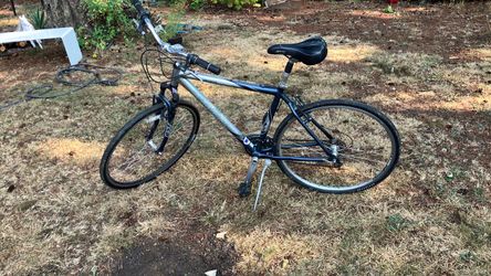 Trek hybrid bike