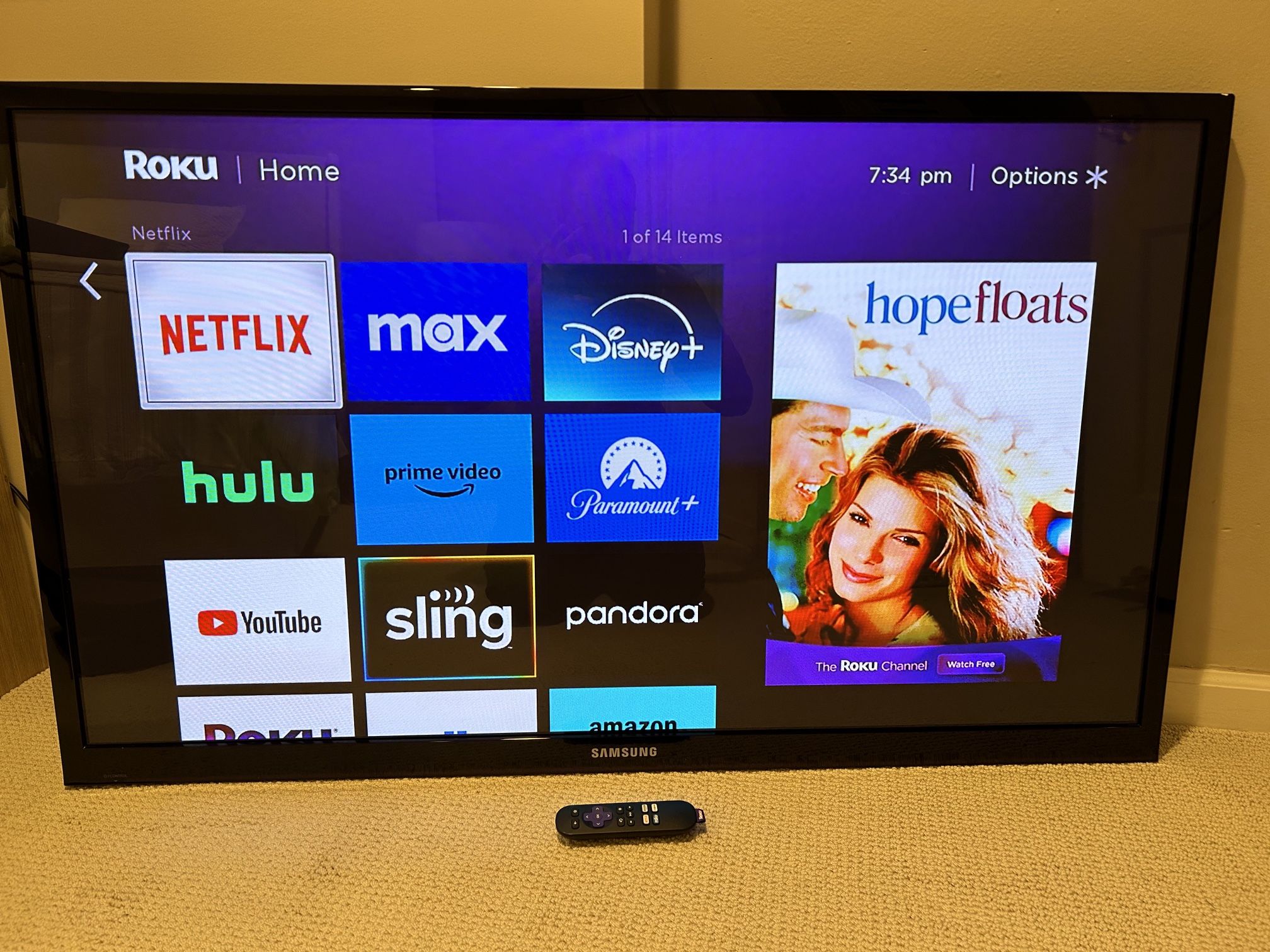 51” Inch Plasma Display Television With Wall mount And Roku Stick Attached