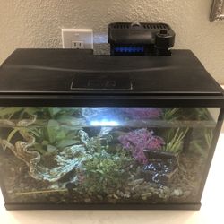 Fish Aquariums