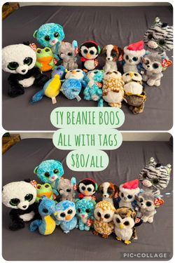 Beanie Boo’s