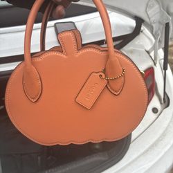 Brand Purses 👛 Tags And Org Price On It