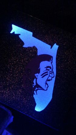 Custom made Florida State canvas art with LEDs and remote
