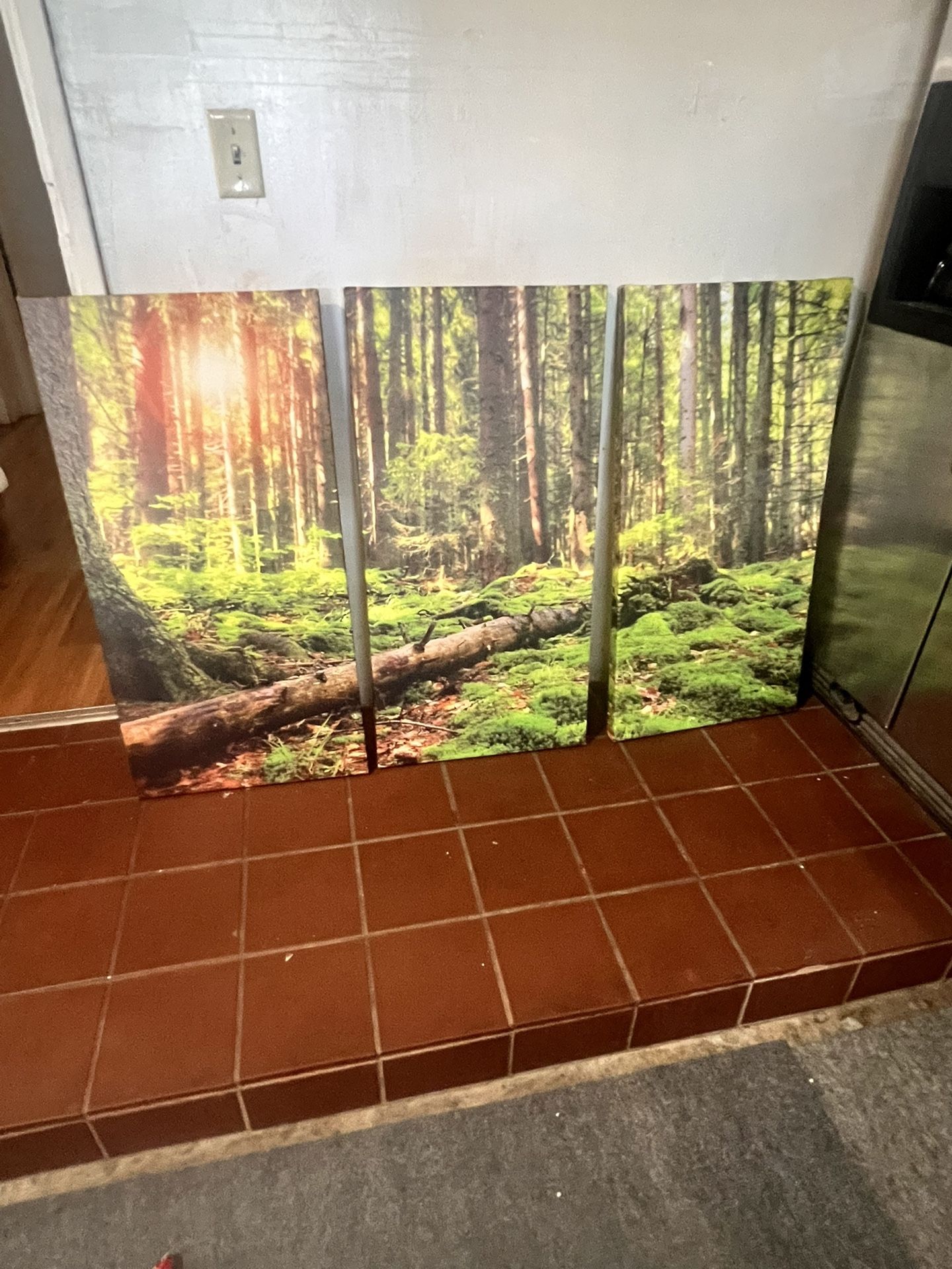 3-piece forest canvas wall art