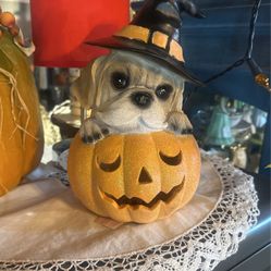 Halloween Dog Jackolantern Decor