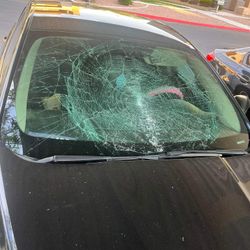 New Windshield 