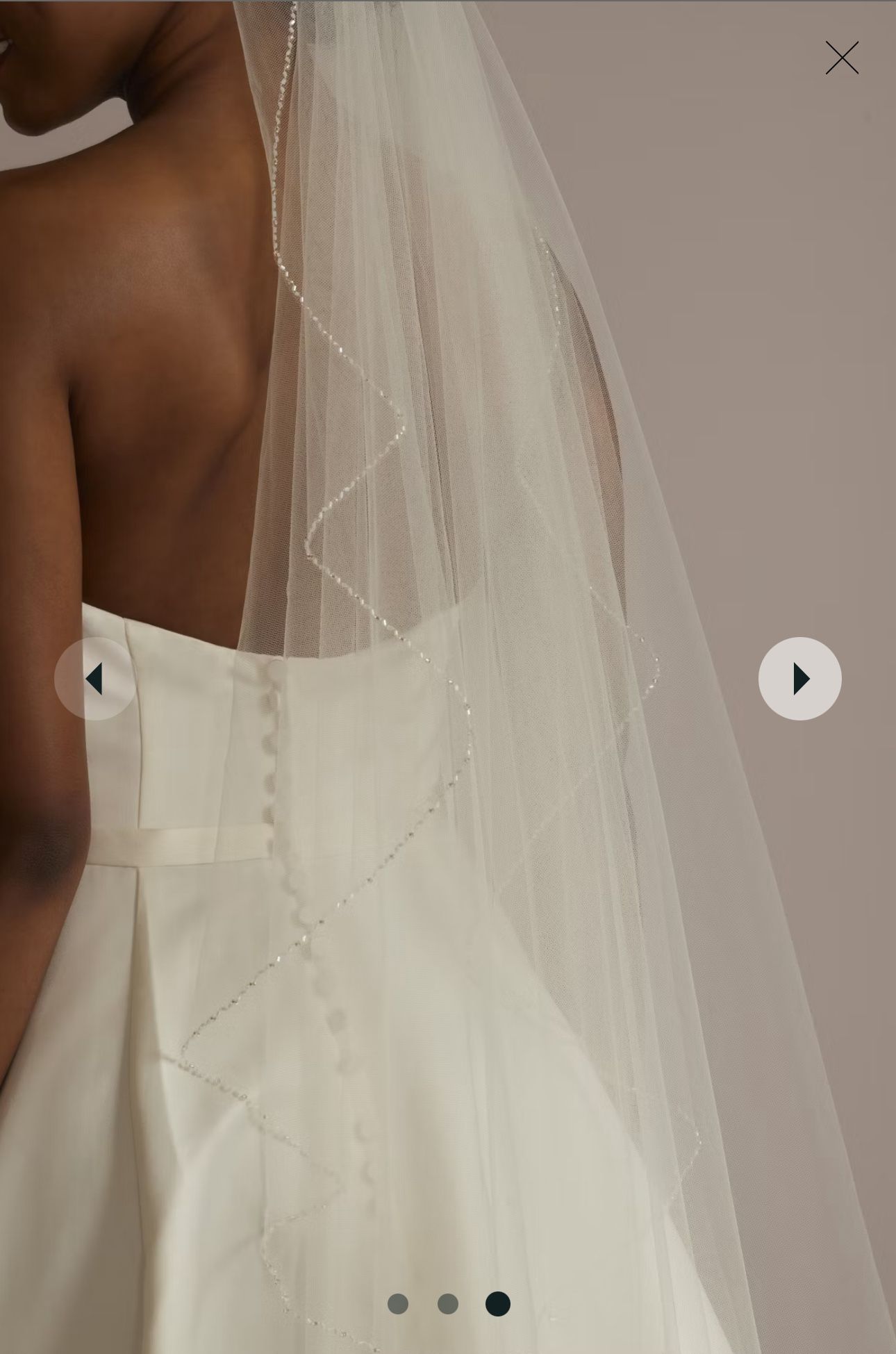 David’s Bridal Veil (Never Worn)
