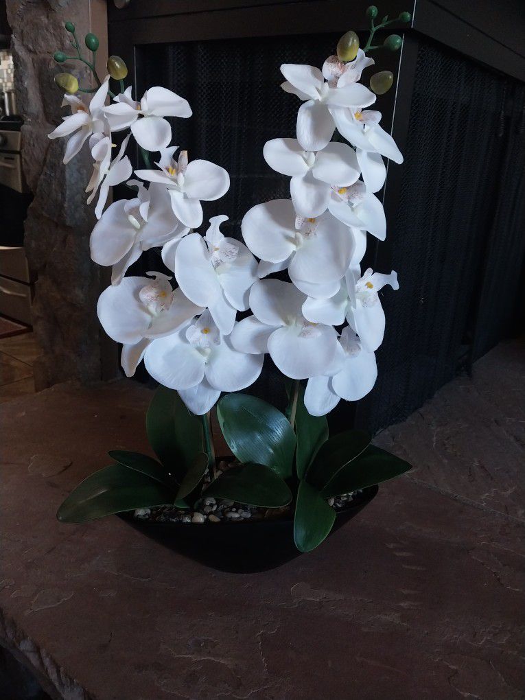 Fake Orchid Plant.