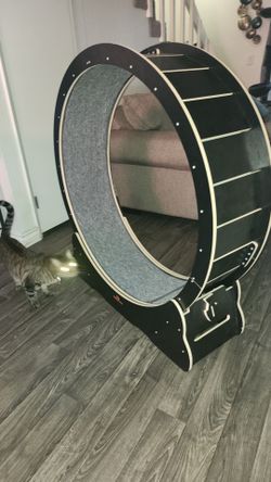 Large Wooden Cat Exercise Wheel – Excellent Condition