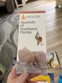 Seashells of Southwest Florida