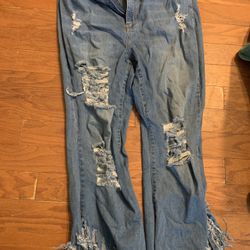 Size 22 Plus Rue + Frayed Denim