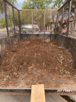 Dirt - Free