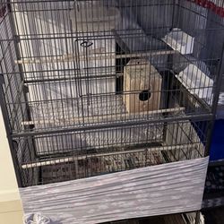Bird Cage