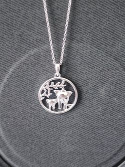 Cadena Con Dije / Silver Chain 