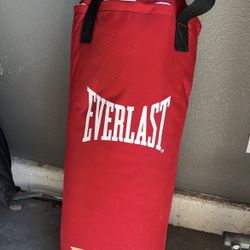 Punching Bag 40 Lbs