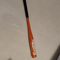 Bat 