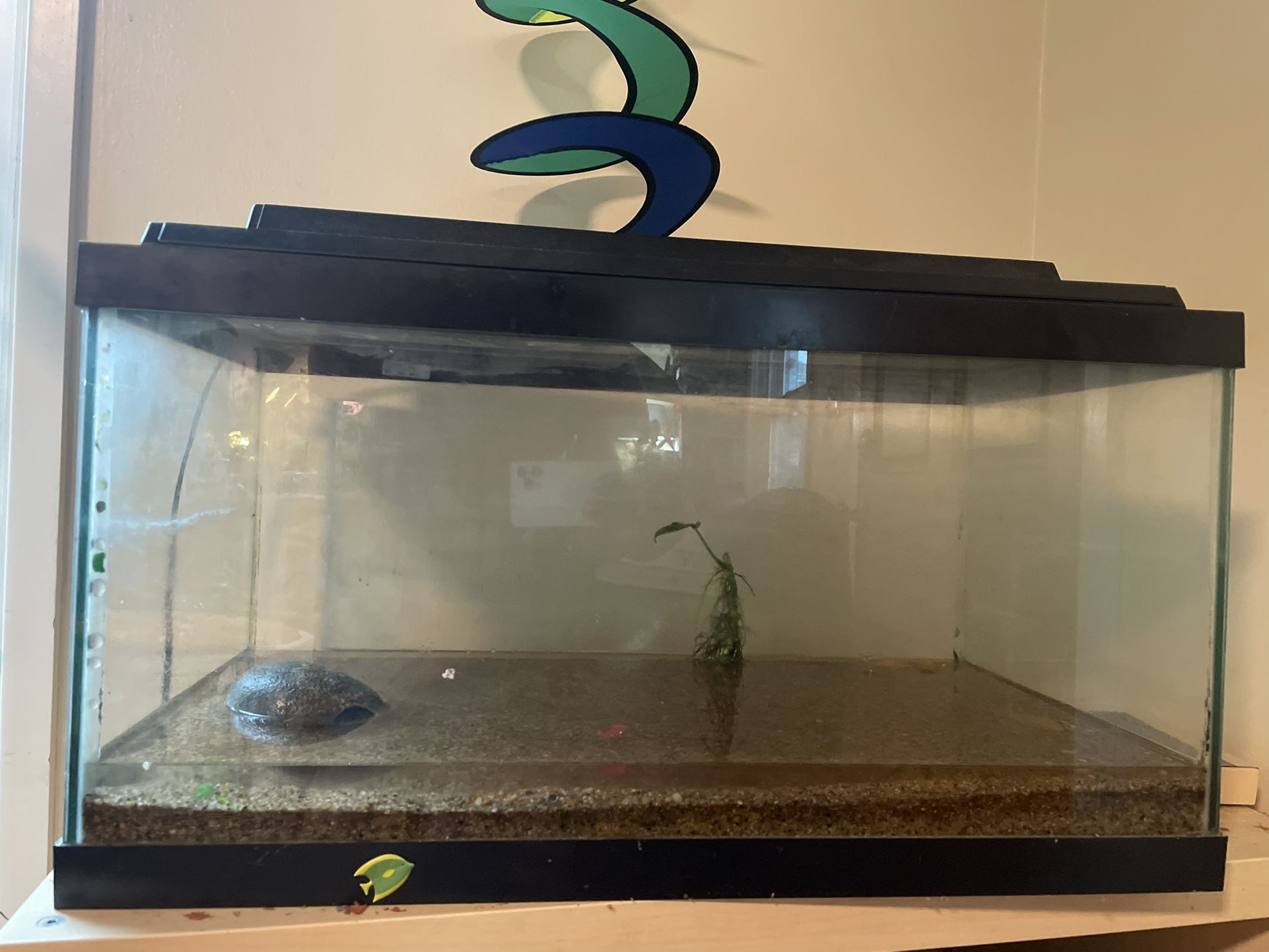 Aquarium Fish Tank 12x13x24