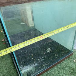 Fish Tank For sell 